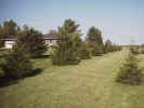 1 acre lot for sale